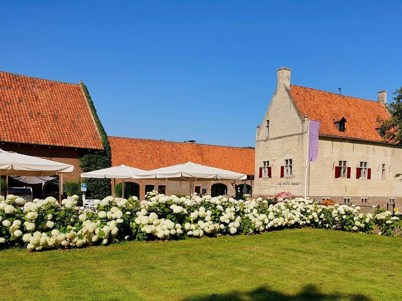 Het binnenhof met witte hortensia's